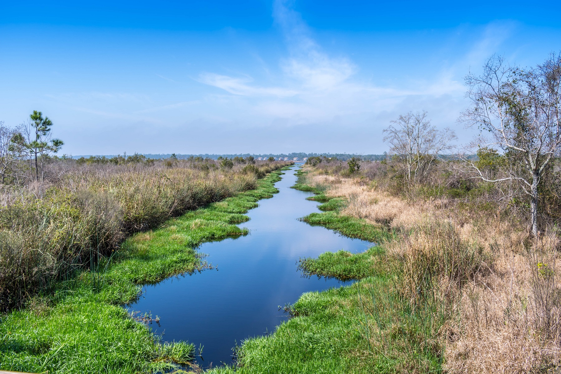 11 Best Free Things to Do in Gulf Shores, Alabama