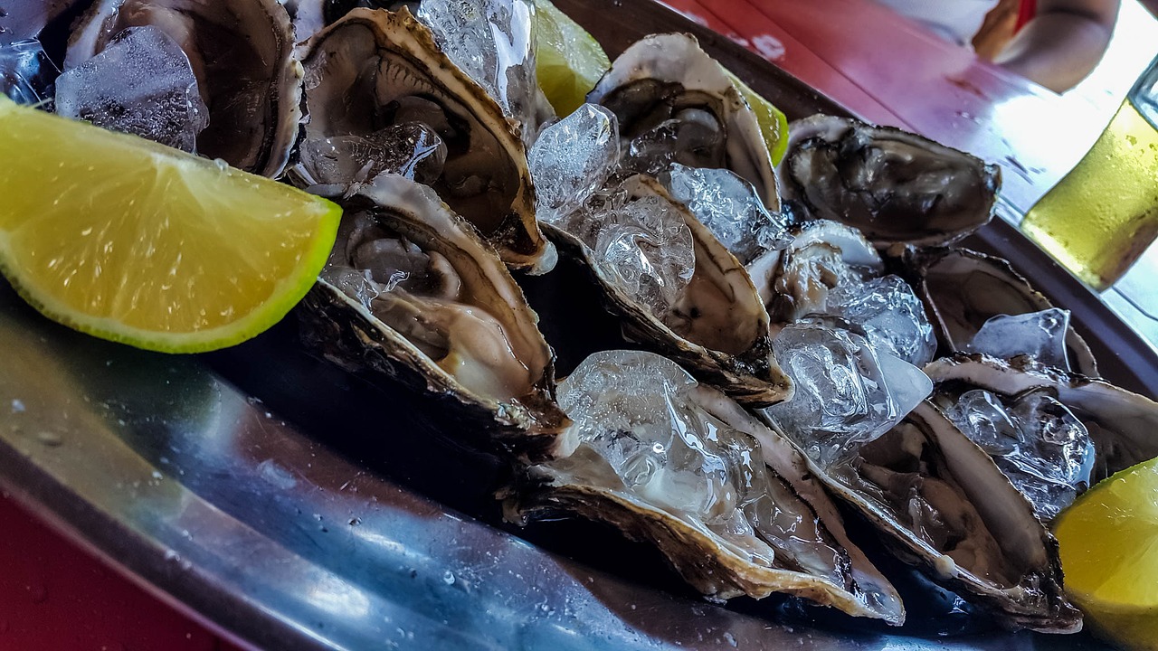 Oysters at S&S Seafood
