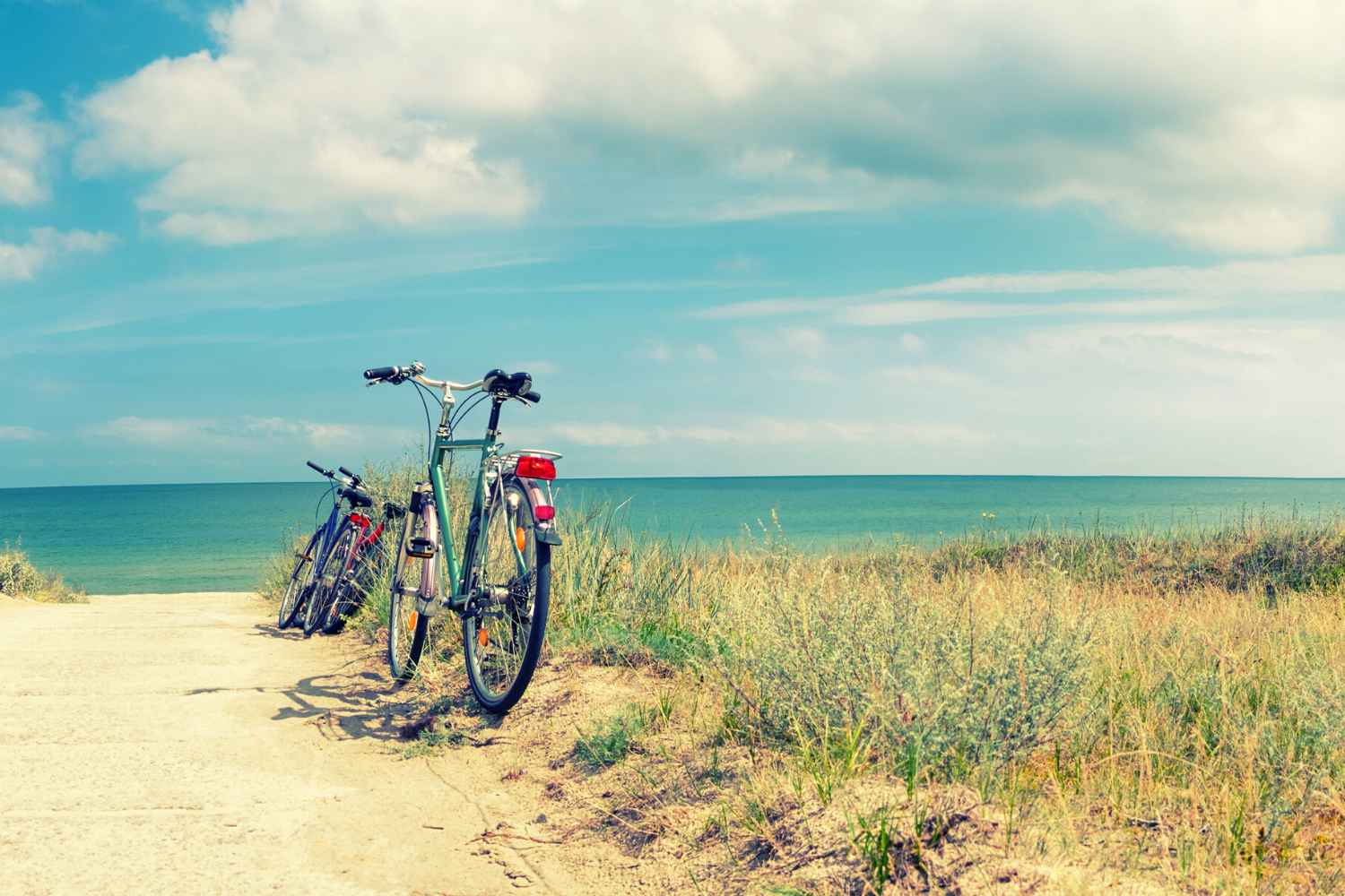How You Can Enjoy the Best Eco-Friendly Travel in Gulf Shores