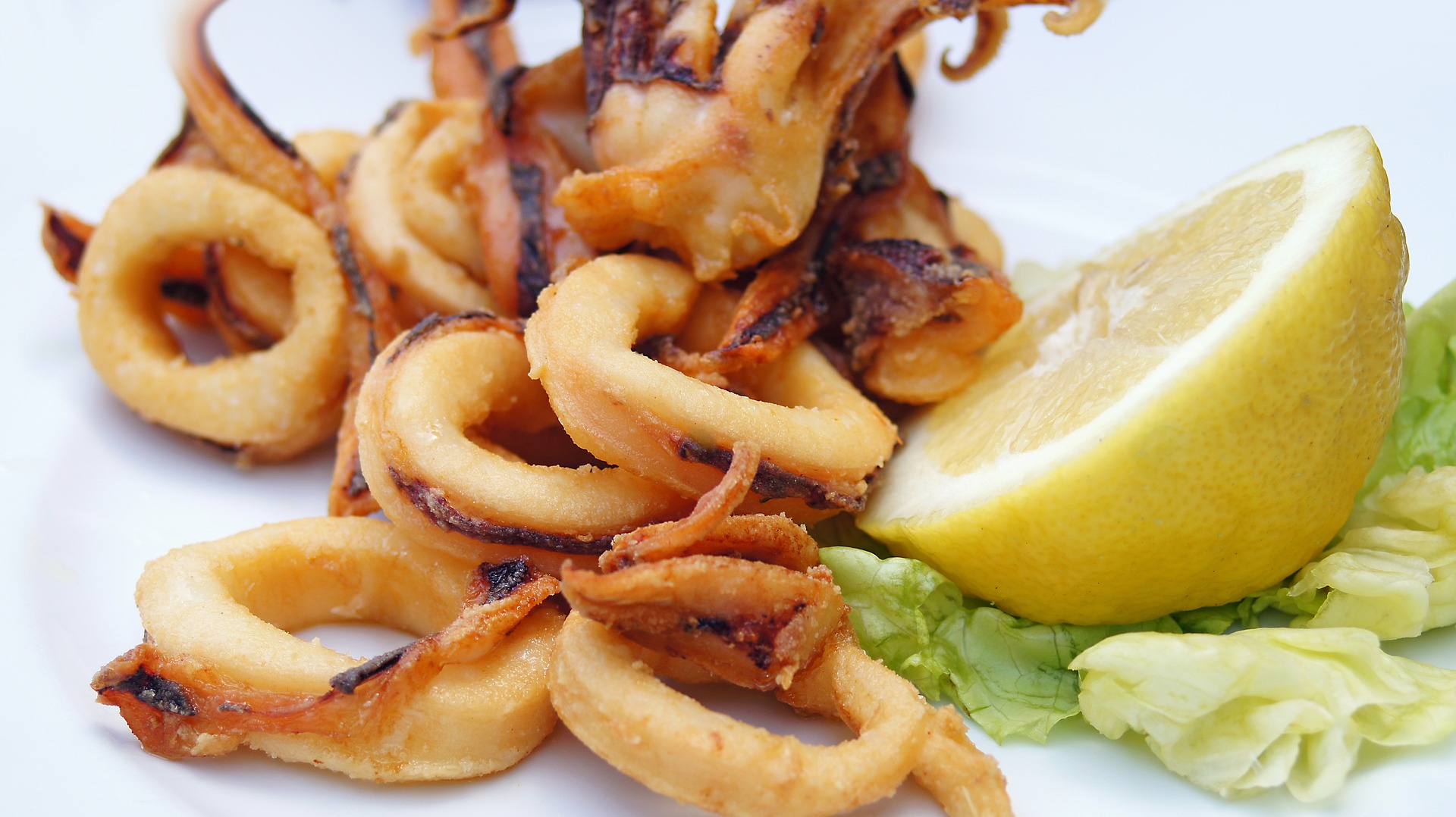 Fried calamari at the Islander Food Shack Florida