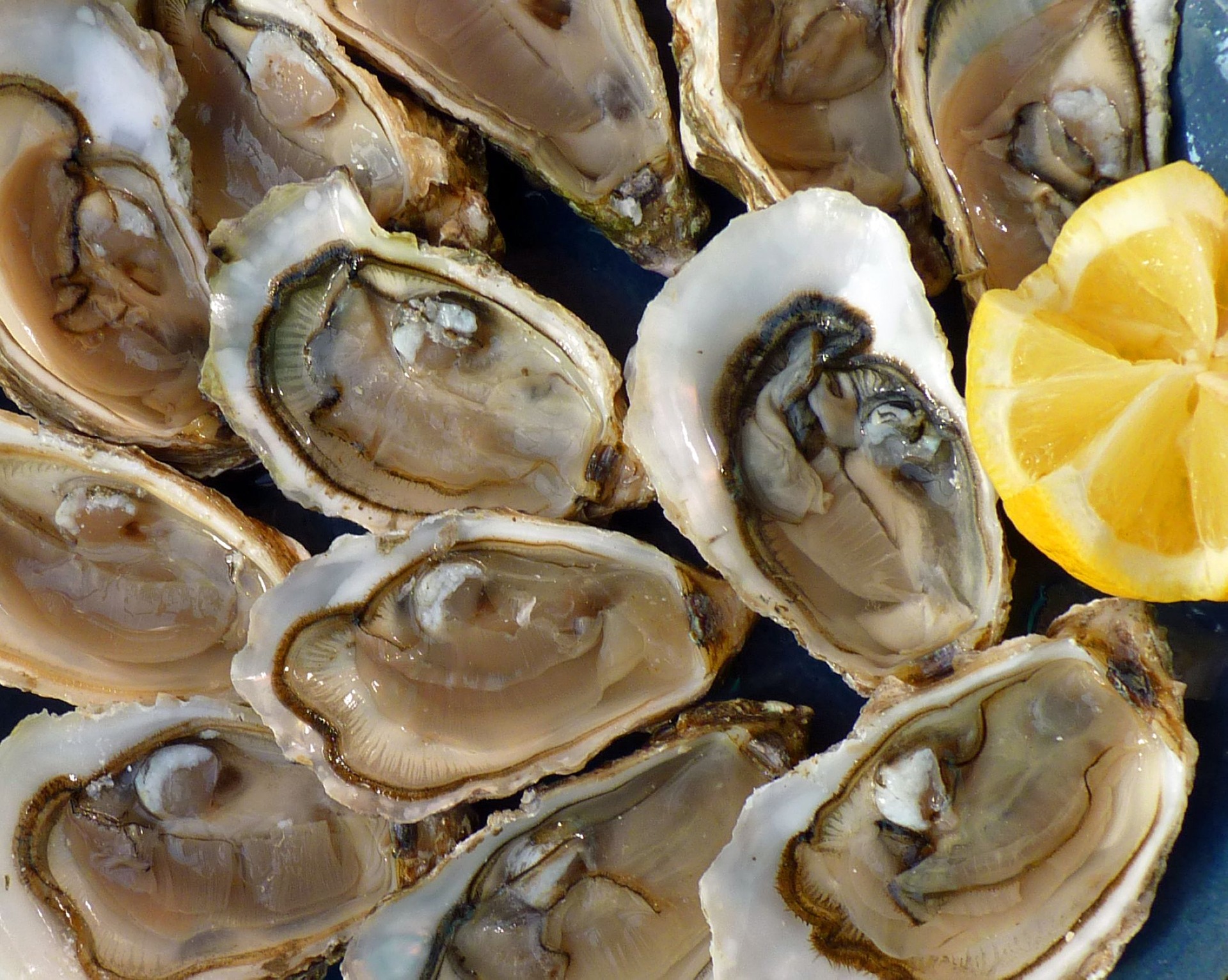 Enjoy oysters and more at Flora-Bama Yacht Club Florida