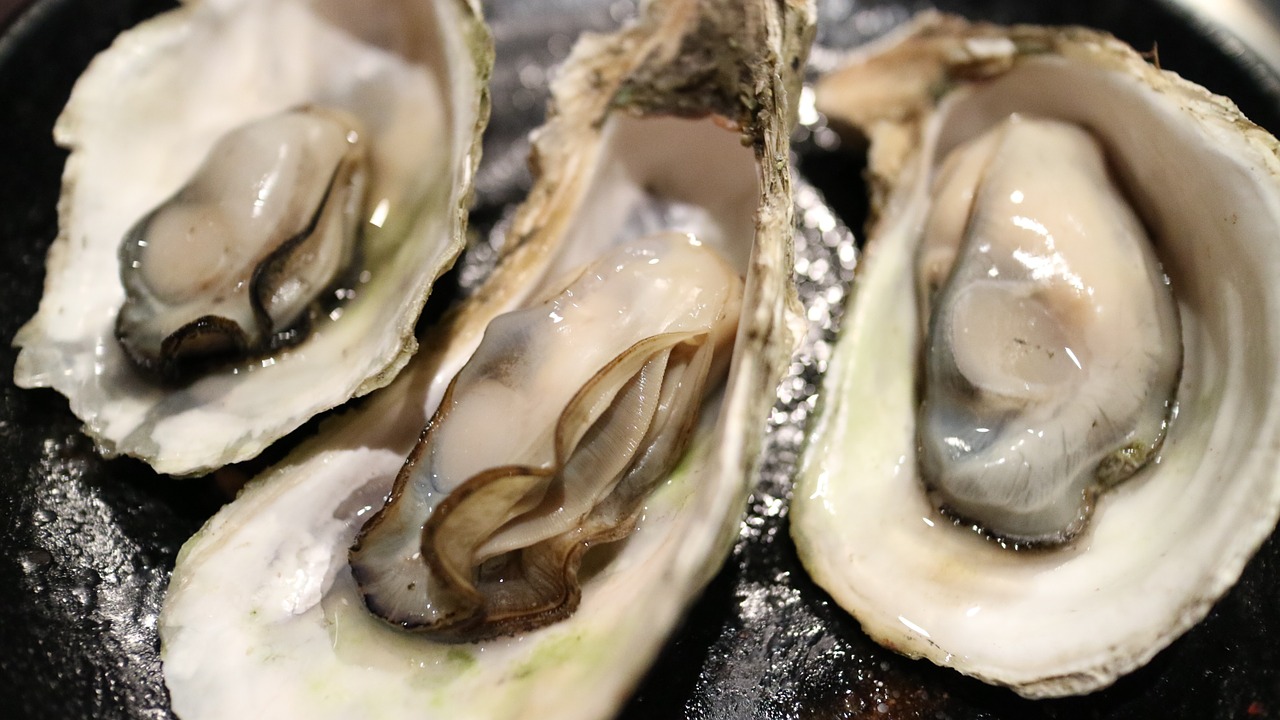 Oyster Cook-Off and Craft Beer Weekend in Gulf Shores