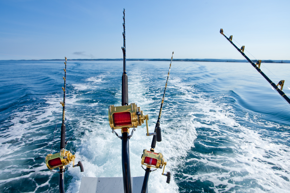 Deep Sea Fishing in Gulf Shores: What to Know
