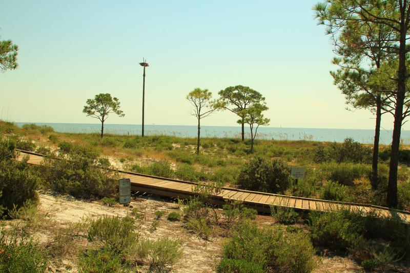 8 Best Things to Do in Dauphin Island